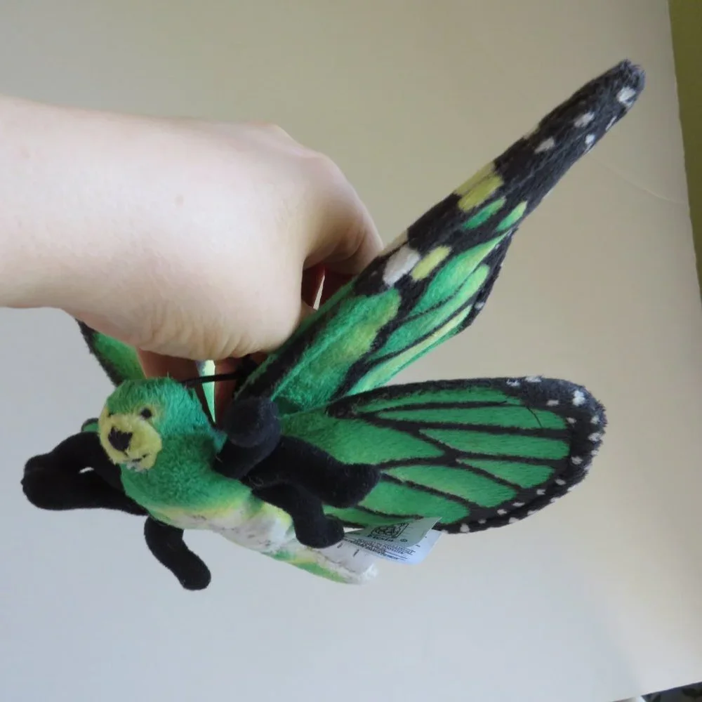 Fiesta green butterfly